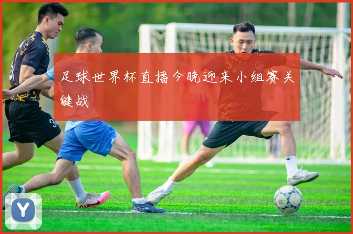 足球世界杯直播今晚迎来小组赛关键战