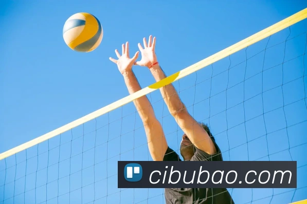 App Interface Preview